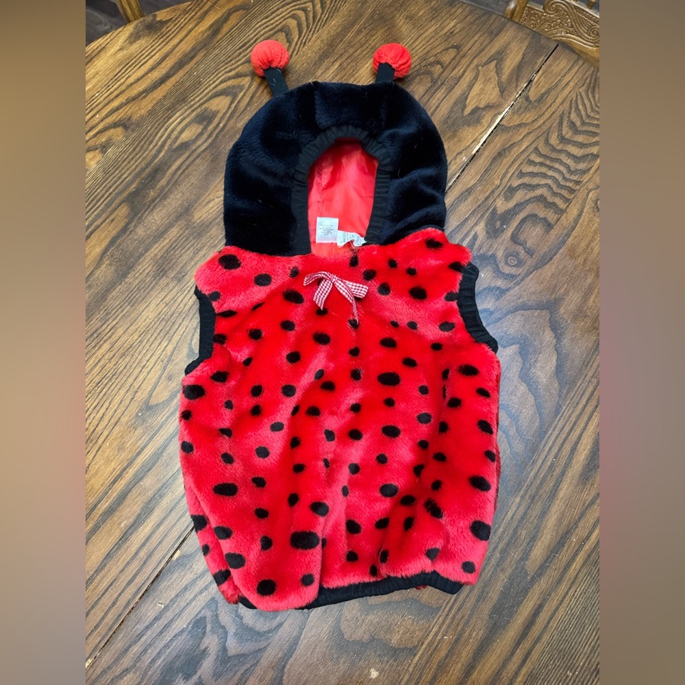Red and Black Polka Dot Kids Lady Bug Halloween Costume